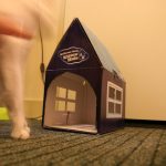 Why one man built a tiny home just for kittens