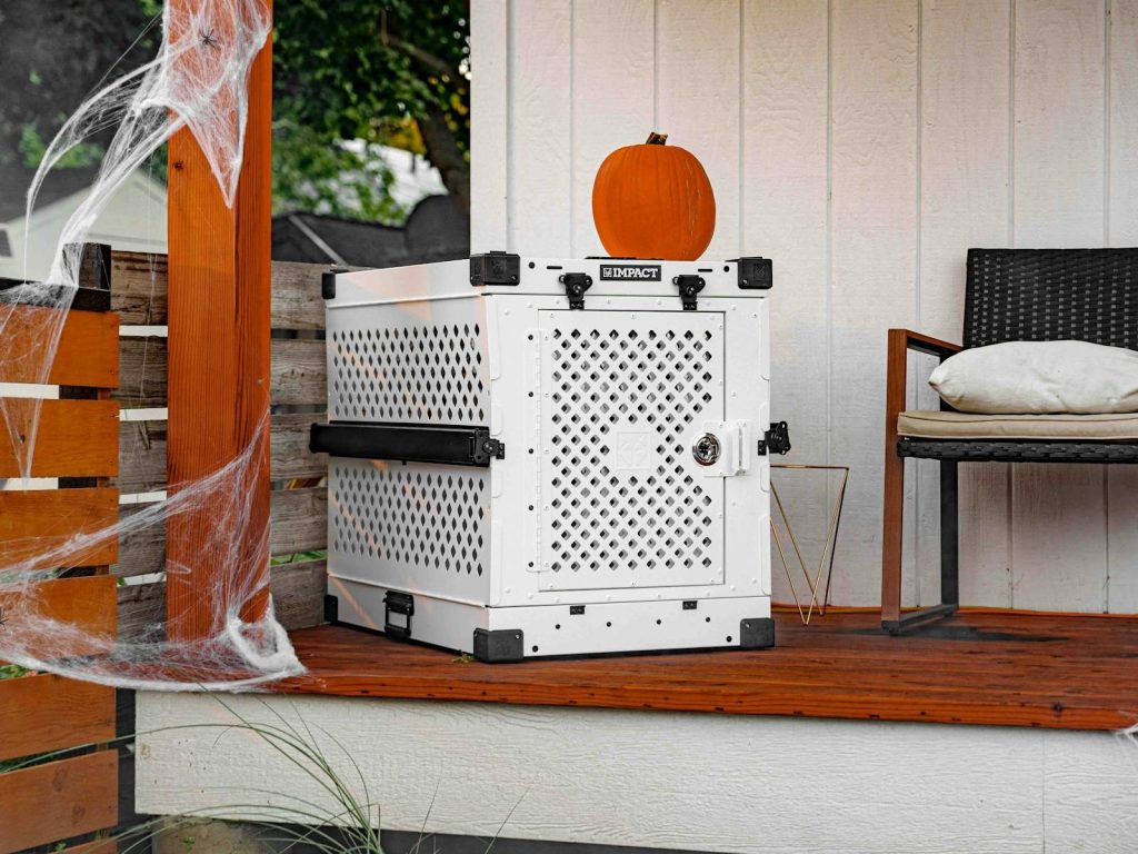 Cozy porch decorated for Halloween with a pumpkin and a sturdy dog crate.