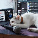 A white cat lounging on a workspace with a microphone in Nha Trang, Vietnam, capturing a lazy day at home.