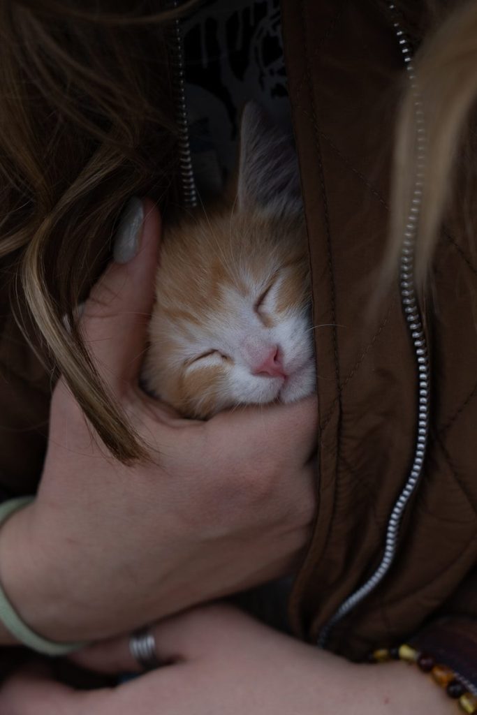 a woman is holding a small orange and white kitten