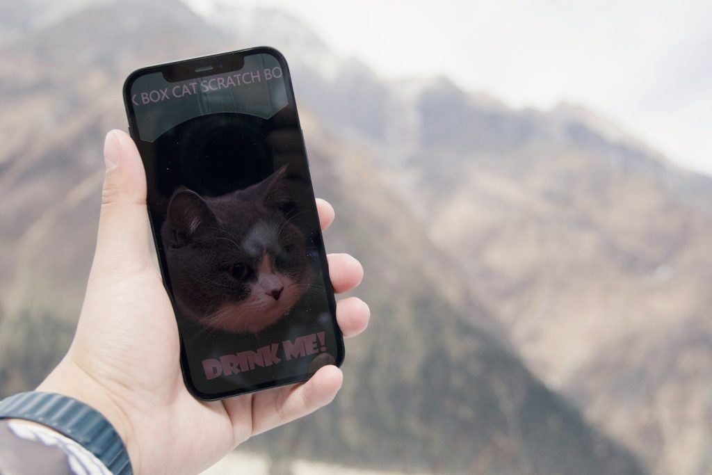 a person holding a cell phone with a picture of a cat on it