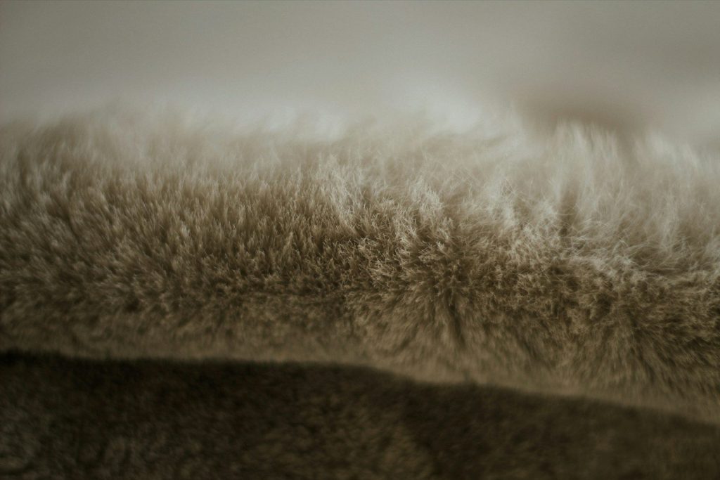a close up of a furry animal's fur