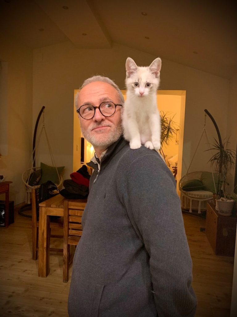 A kitten sits on a man's shoulder