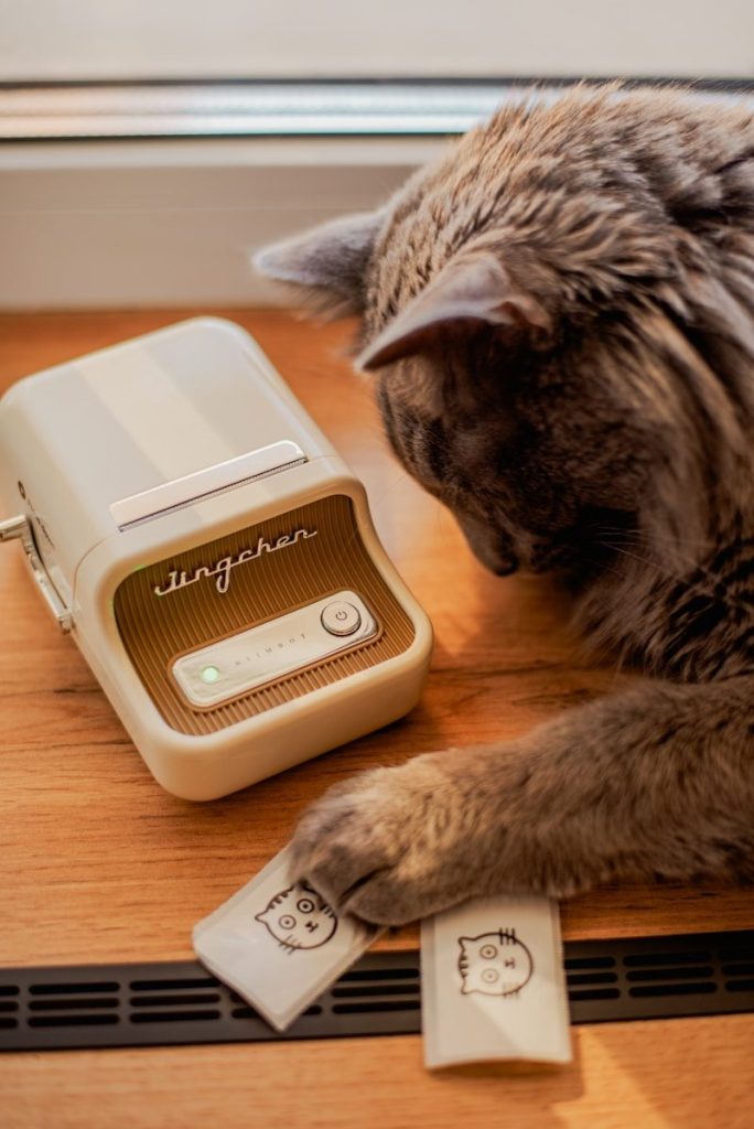 a cat laying on a table next to a radio