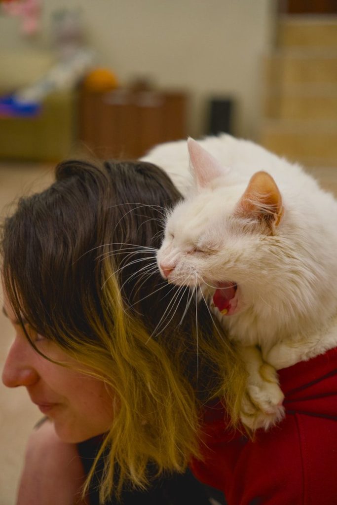 A woman holding a white cat on her shoulders