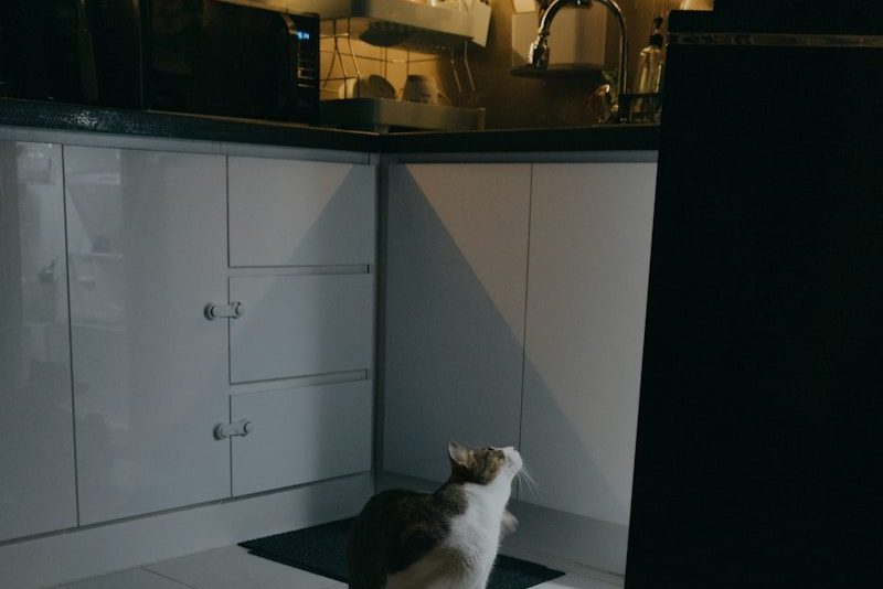 Two cats walking in a dimly lit kitchen.