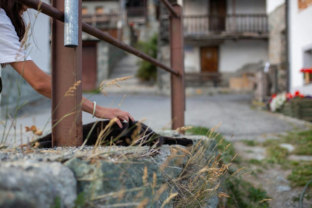 a person holding a shovel