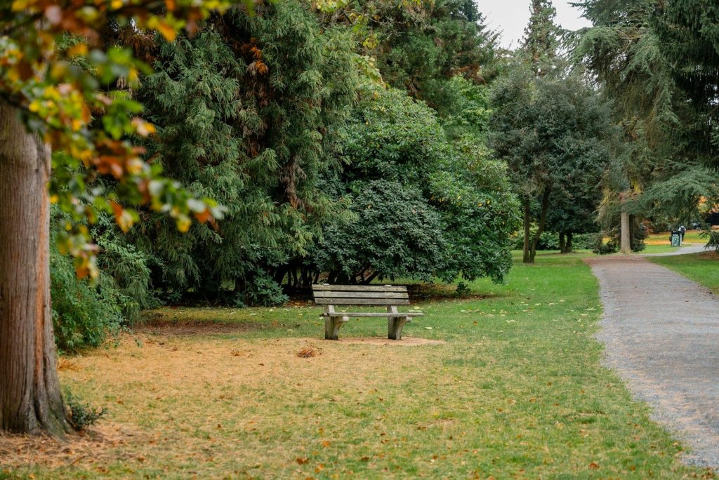 A park bench sitting in the middle of a park