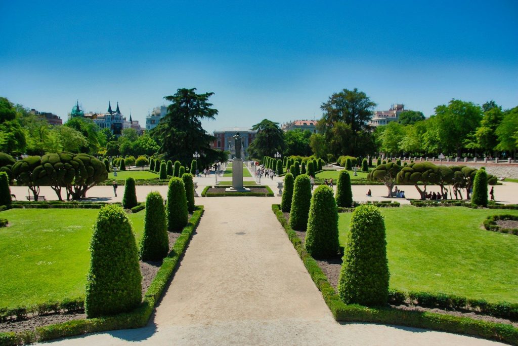Manicured garden with symmetrical hedges and trees