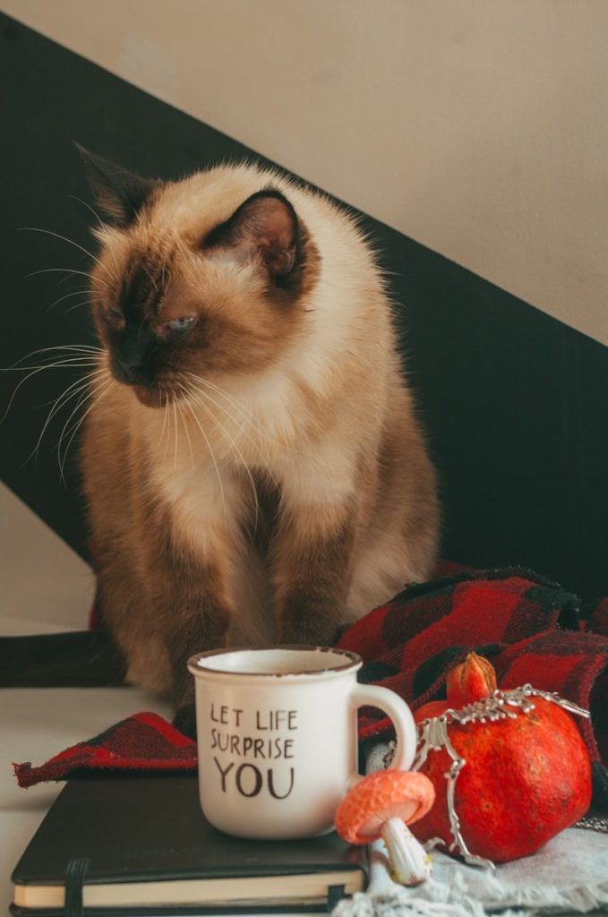 a cat sitting on top of a table next to a cup