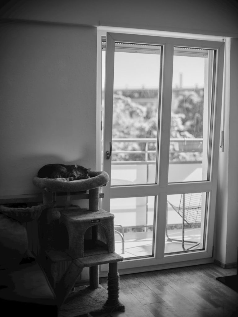A cat sleeps on a tall cat tree indoors.