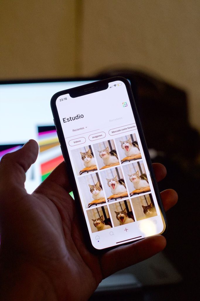 Close-up of a hand holding a smartphone displaying cat photos on the screen.