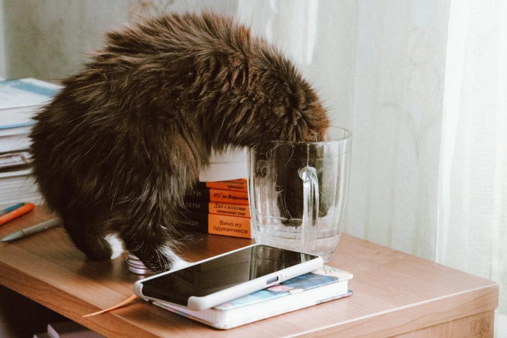 A fluffy cat curiously drinks water from a large glass mug on a cluttered desk.