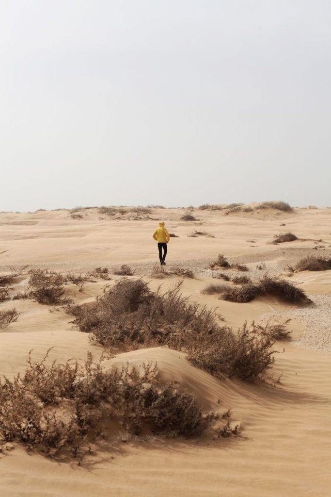 A solitary figure in a yellow jacket walks through the expansive sandy desert of Kalmykia.