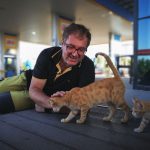A man enjoying the company of playful kittens at a gas station.
