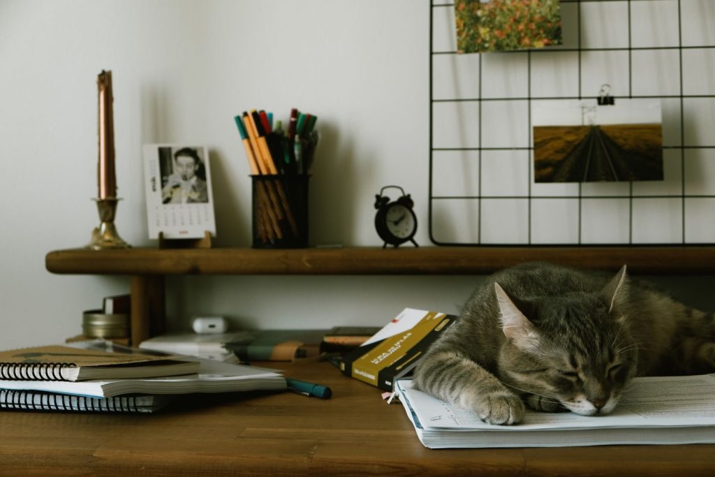 A cute cat peacefully sleeps on a cluttered desk surrounded by books and stationery.