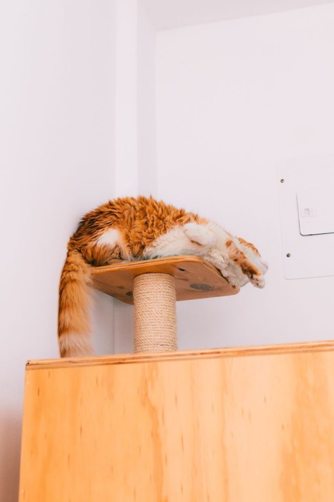 Ginger and white cat lounging on top of a scratching post tower in a cozy indoor setting.