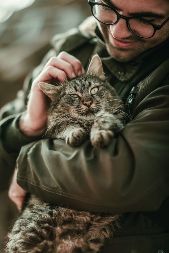 Close-up of a man holding and petting a relaxed tabby cat outdoors.