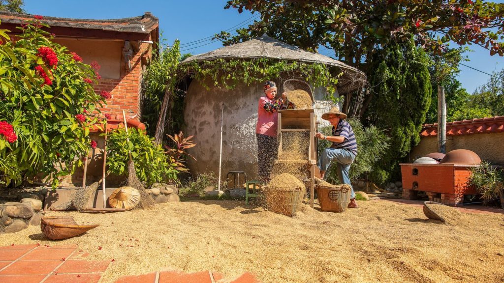 Elderly couple winnowing rice in a traditional courtyard in Yuanli, Taiwan.