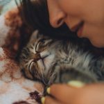 a close up of a person holding a cat