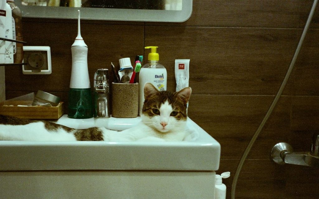 A cat comfortably lying in a bathroom sink surrounded by toiletries and grooming tools.