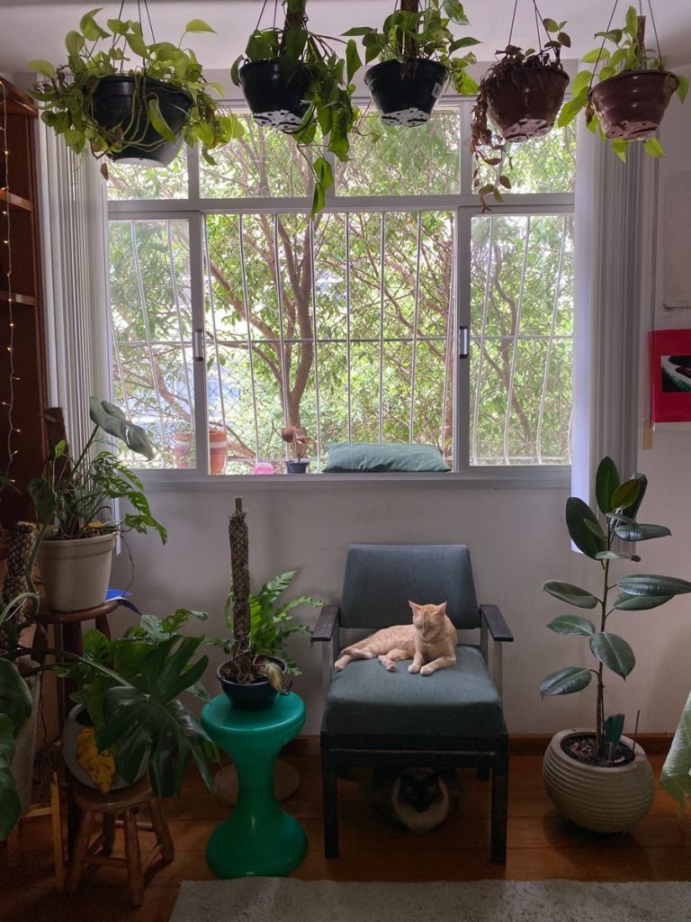 A serene indoor garden with a cat lounging on a chair by the window.
