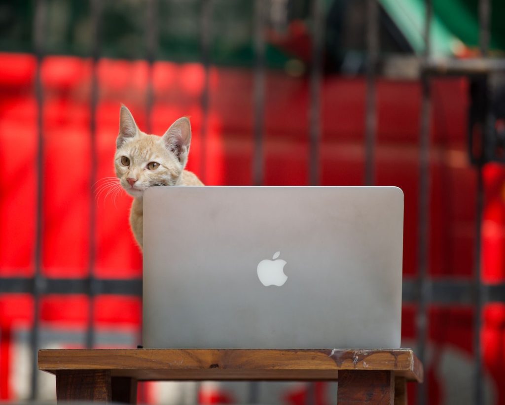 A cute cat sits behind a laptop on a wooden table outdoors.