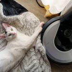 Adorable white cat playing near a robotic vacuum on a cozy blanket indoors.