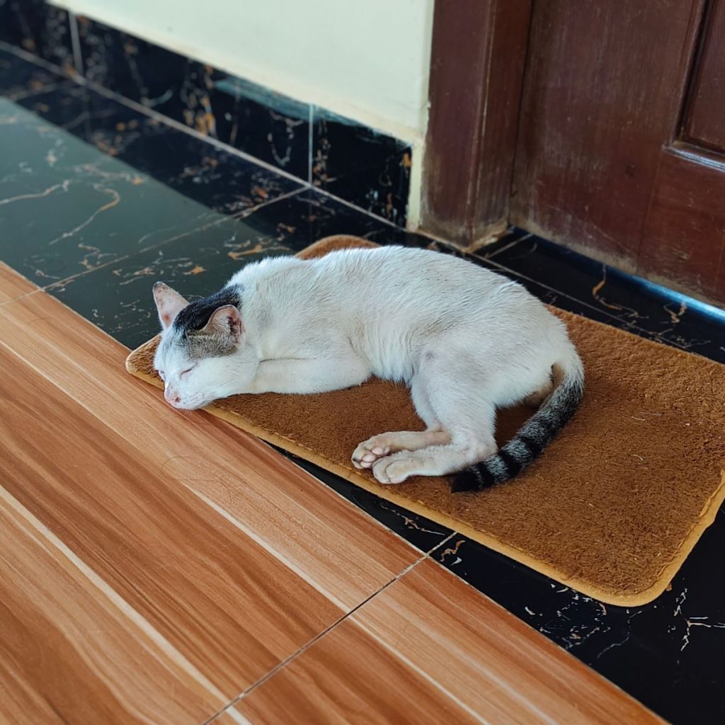 A serene white and black cat peacefully sleeping on a doormat indoors.