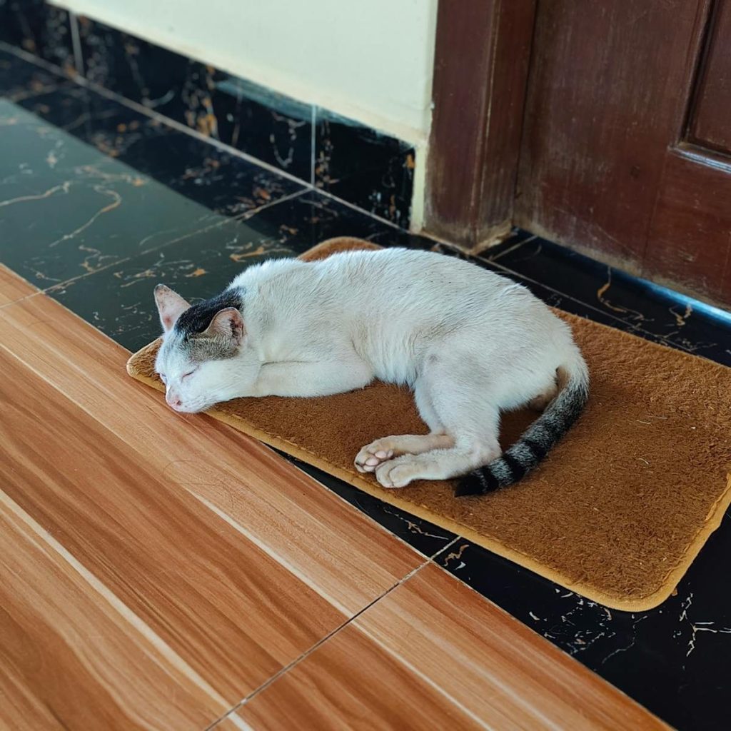 A serene white and black cat peacefully sleeping on a doormat indoors.