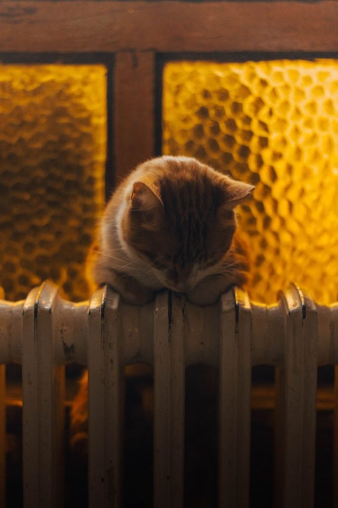 A ginger cat peacefully resting on a classic radiator with warm lighting.