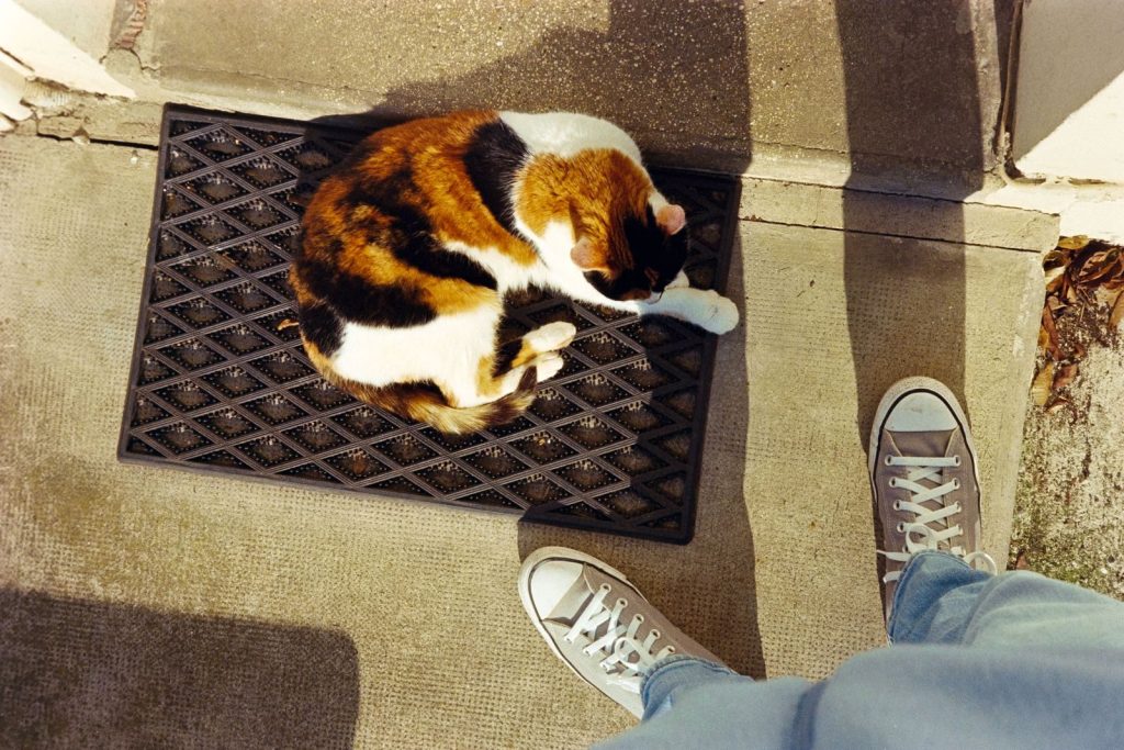 A calico cat comfortably resting on a doormat with a person standing nearby, captured from above.
