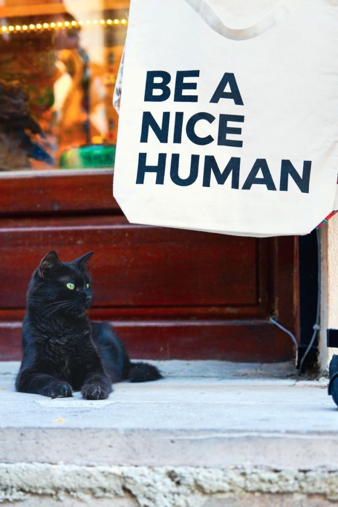 A calm black cat resting outside a shop, next to a tote bag with 'Be a Nice Human' text.