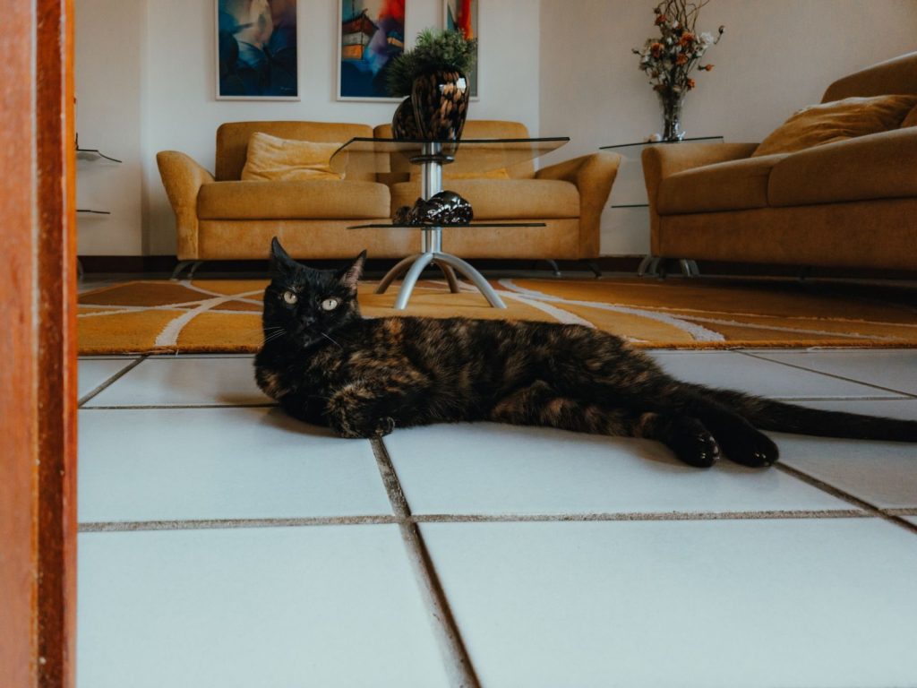 A black cat lounges on tiled floor in a modern living room with beige sofas and decor.