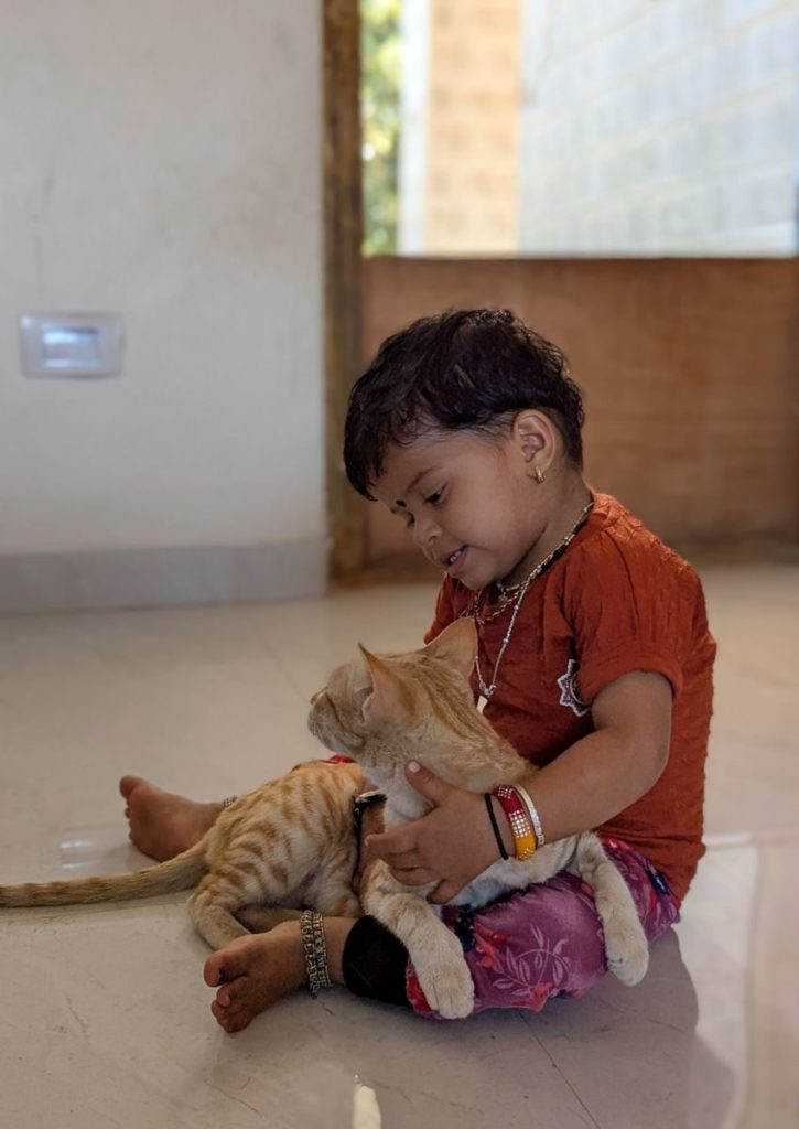Adorable toddler bonding with a ginger tabby cat in a bright, sunny room.