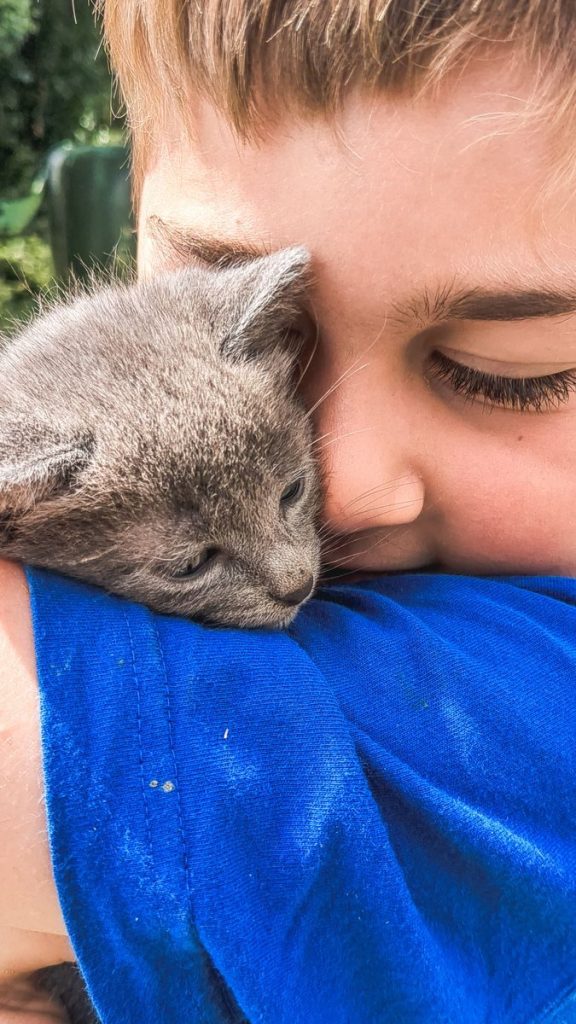 Close-up portrait of a child lovingly holding a gray kitten outdoors.