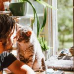 Side view of anonymous unshaven male sitting close to adorable fluffy cat while looking at each other near open window in sunlight in apartment