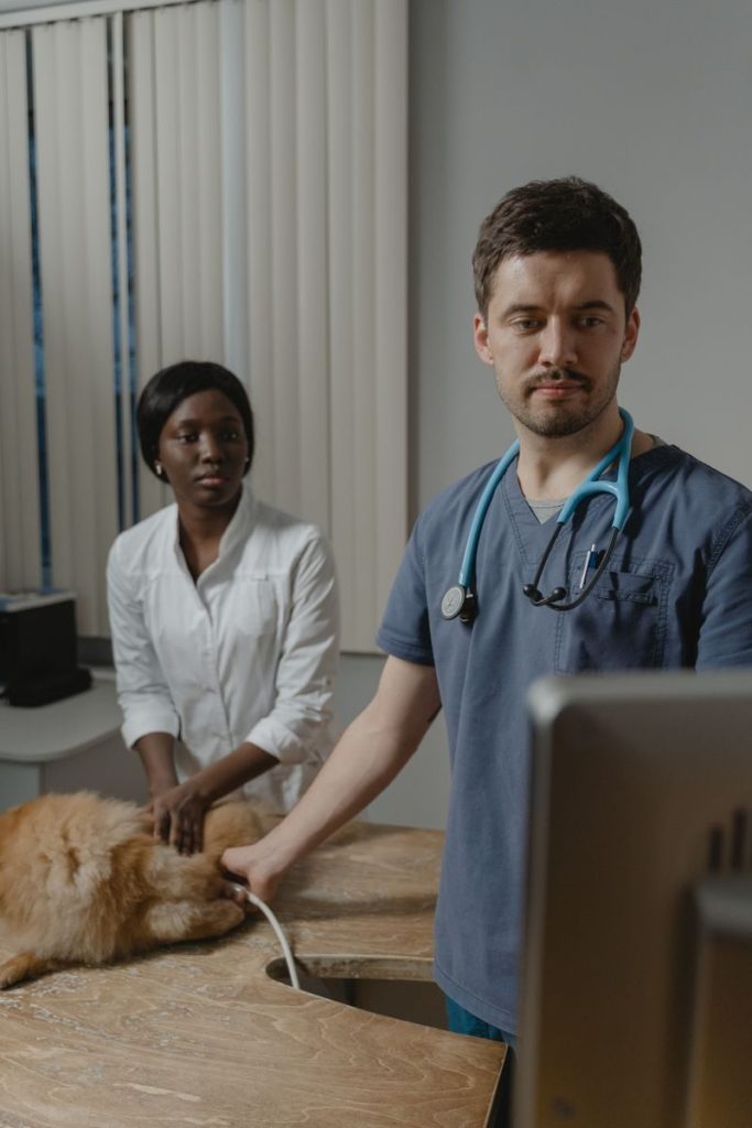 Veterinarian using medical equipment on a dog, with pet owner observing attentively.