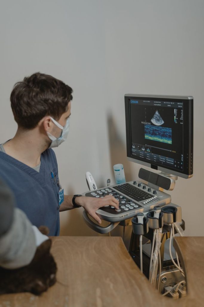 A veterinarian performing an ultrasound scan on an animal in a clinical setting.