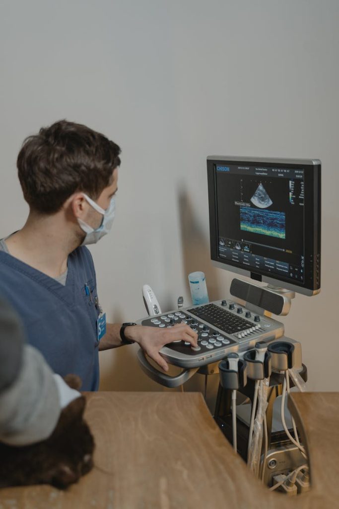 A veterinarian performing an ultrasound scan on an animal in a clinical setting.