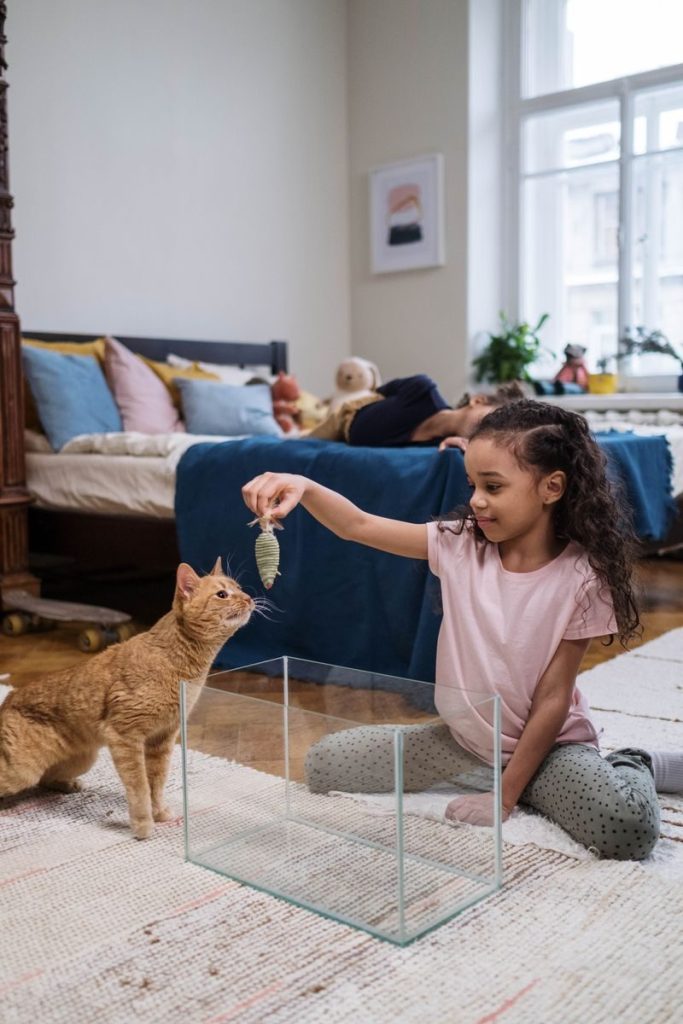 Child playing with a ginger cat and toy fish in a charming bedroom setting.