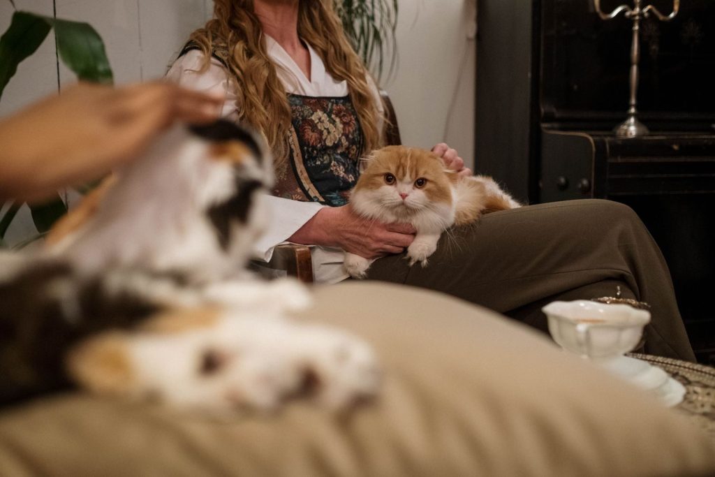 Woman relaxing indoors with her Scottish Fold cat and tea, capturing a peaceful moment.