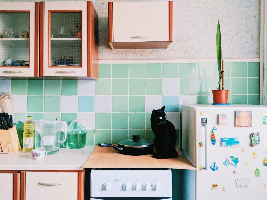 Cute black cat sitting on electric cooker in kitchen with cupboards and utensils near refrigerator with magnets in light apartment