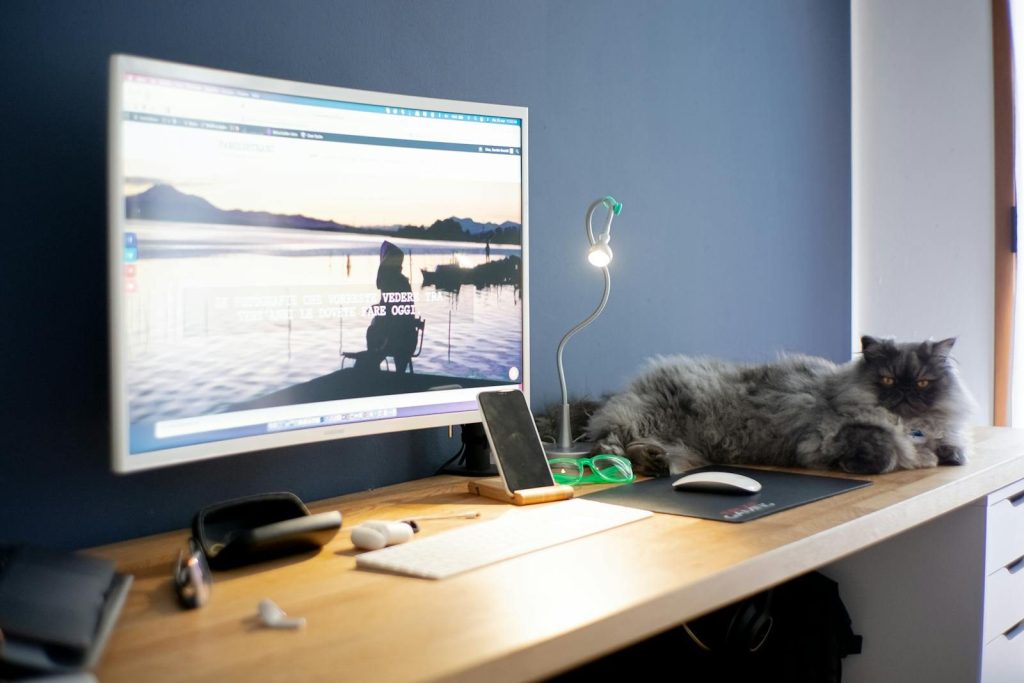 A peaceful home office setup with a fluffy cat lounging next to a monitor and workspace.