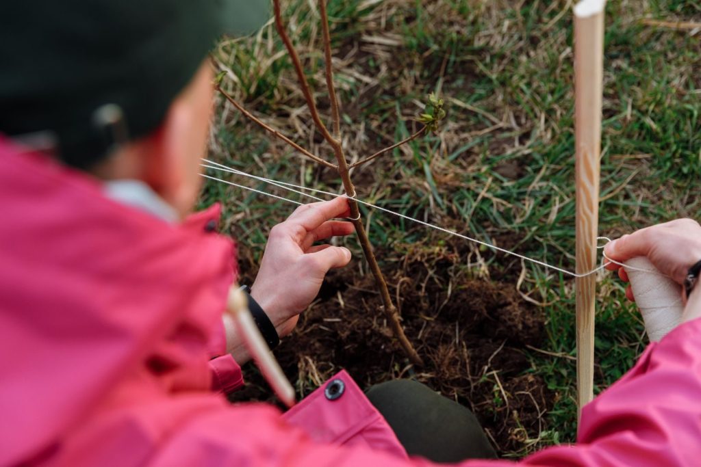 A person planting a sapling outdoors, promoting environmental care.