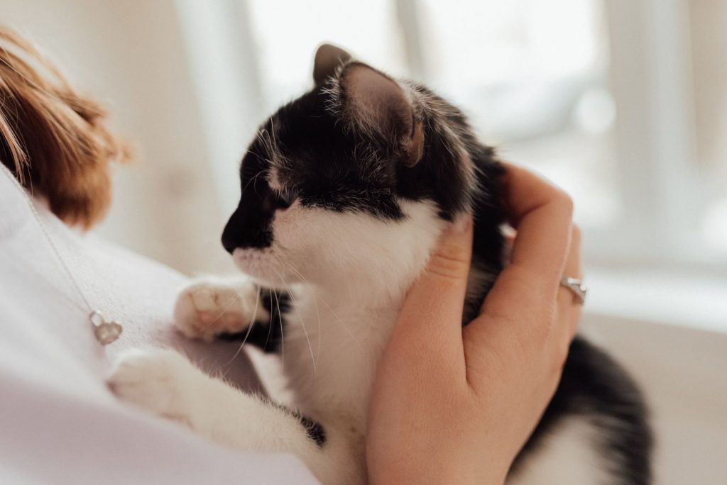 Woman gently holding a black and white cat close to her chest indoors.
