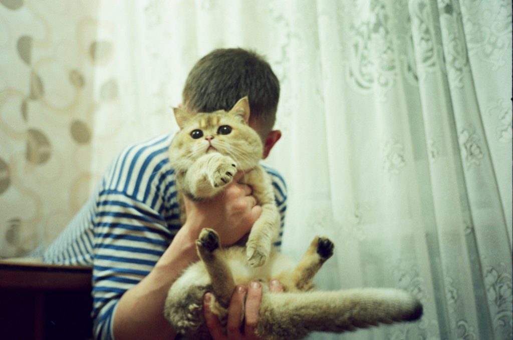 man in blue and white stripe shirt carrying brown and white cat