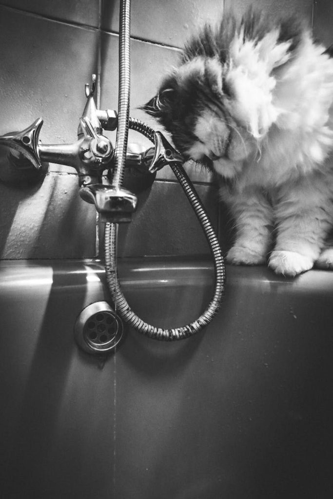 Adorable fluffy cat curiously examining a bathtub faucet in a monochrome setting.