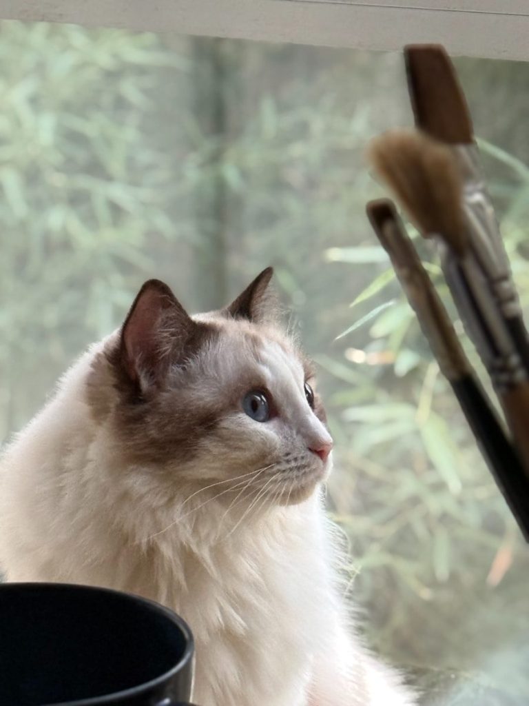 A fluffy cat with blue eyes looks at paintbrushes.
