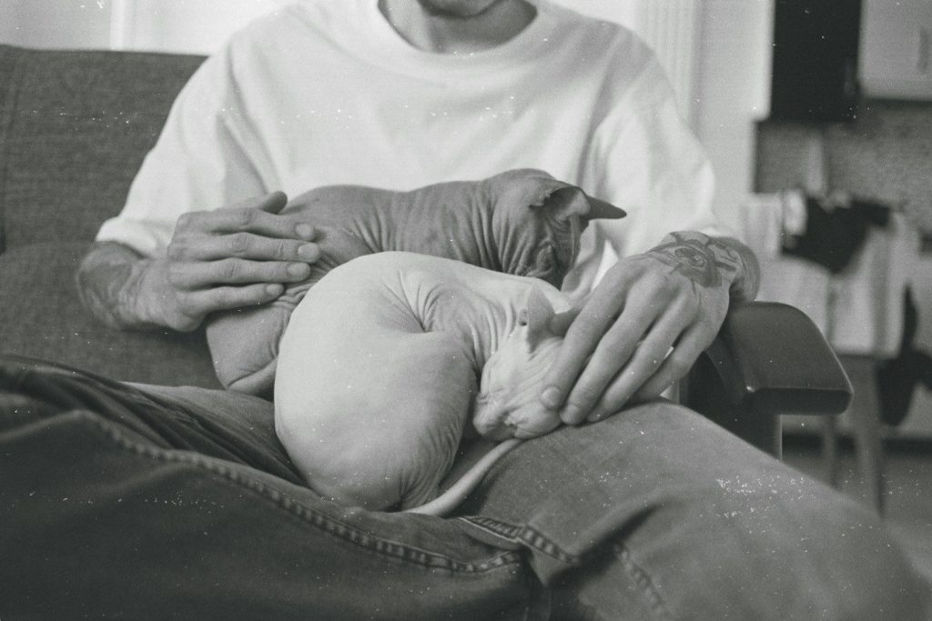 a man holding a cat in his lap